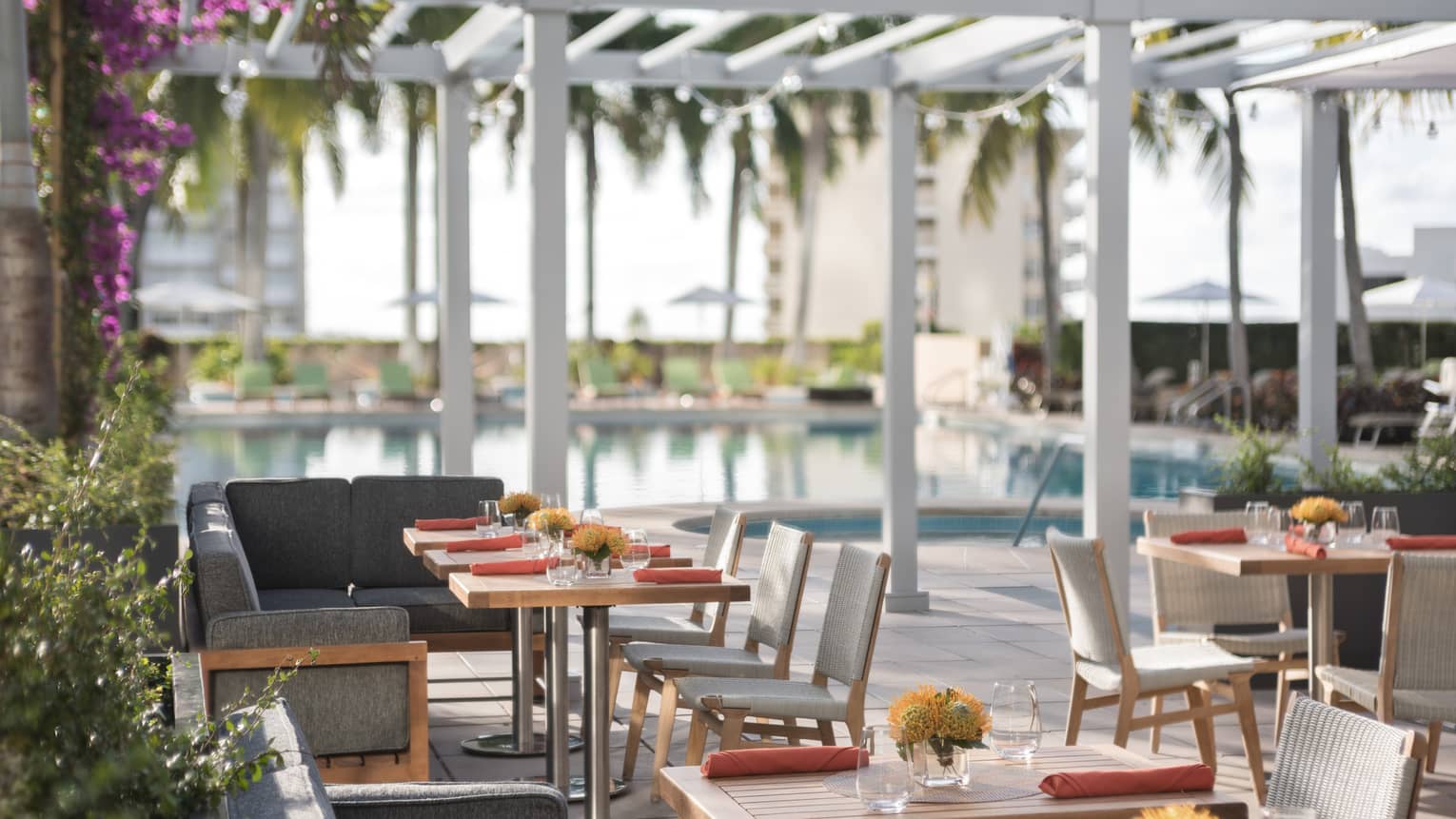 An outdoor eating area with cushioned seats and plants.