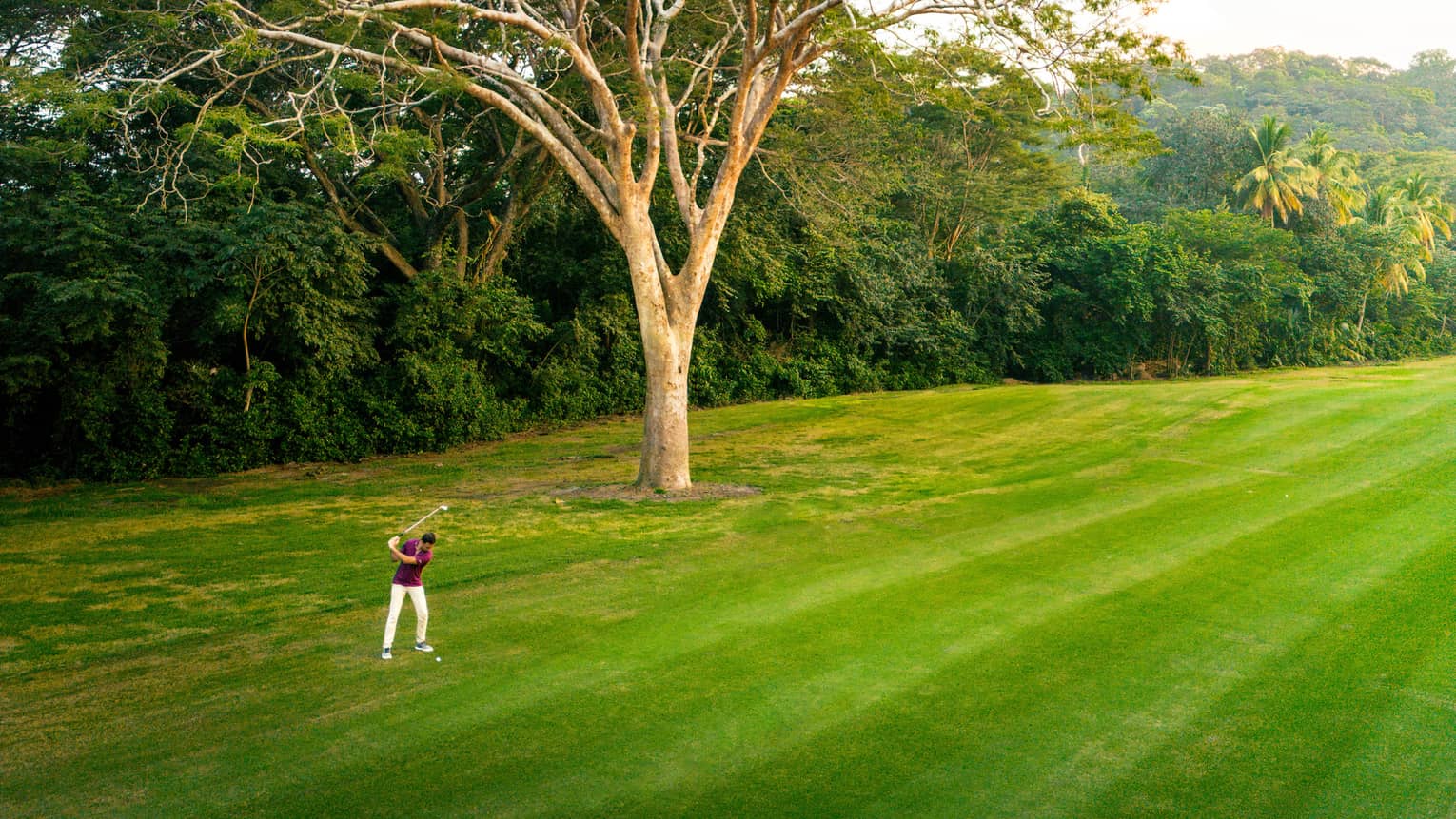 Golfer takes a swing on a bright green fairway next to a treeline