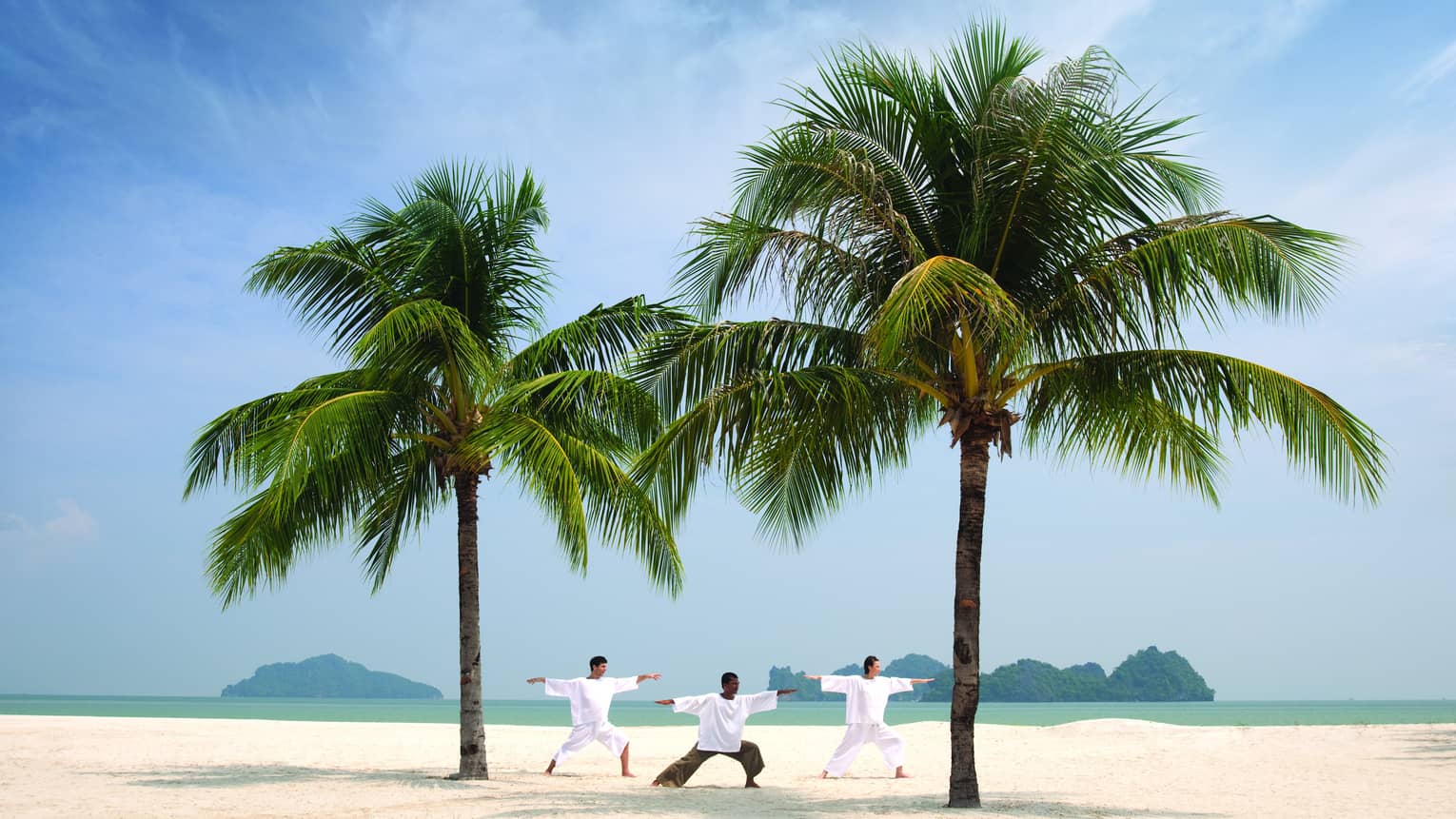 Three people stretch, balance in yoga poses between two large palms on beach