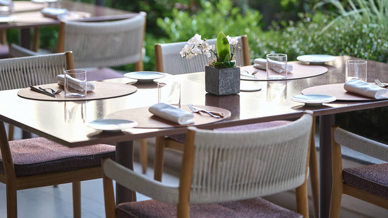 A dining table on a patio surrounded by greenery