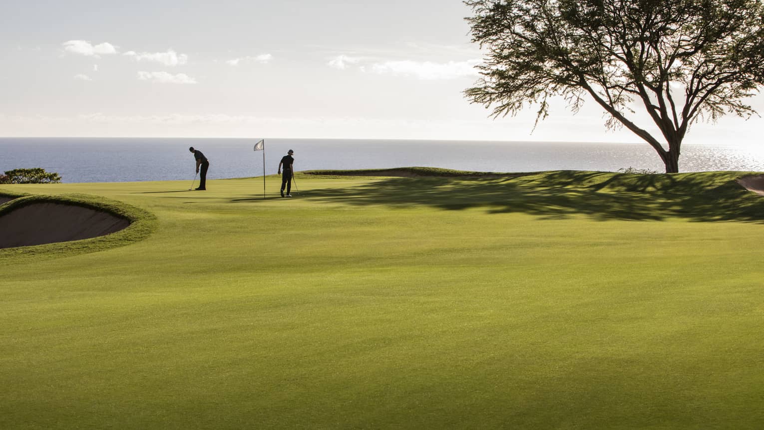 Long view of two golfers on a green flanked by a bunker and tree, silhouetted against a shimmering ocean backdrop.