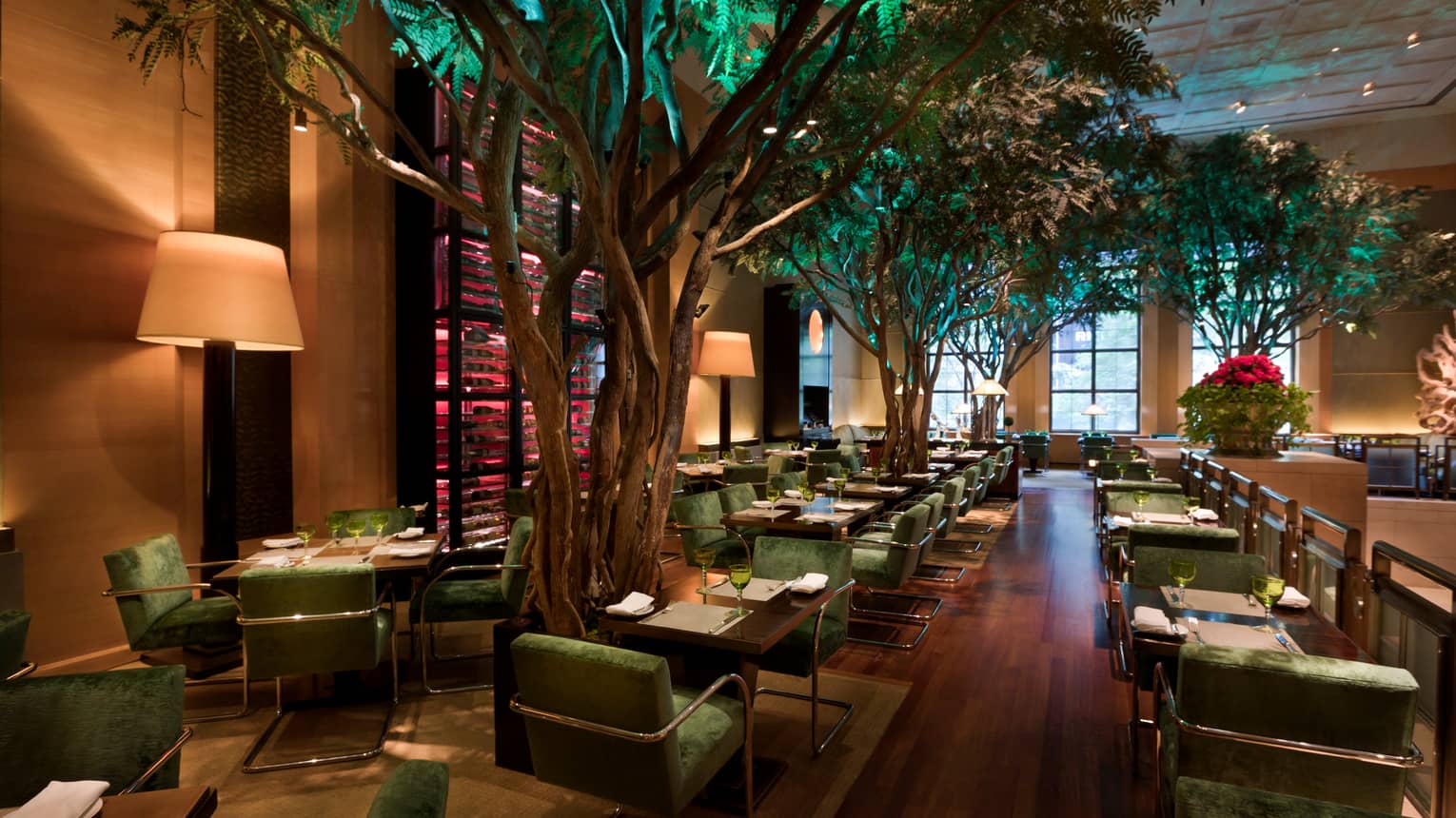 Garden Restuarant dimly-lit dining room with tables, lamps, large indoor trees