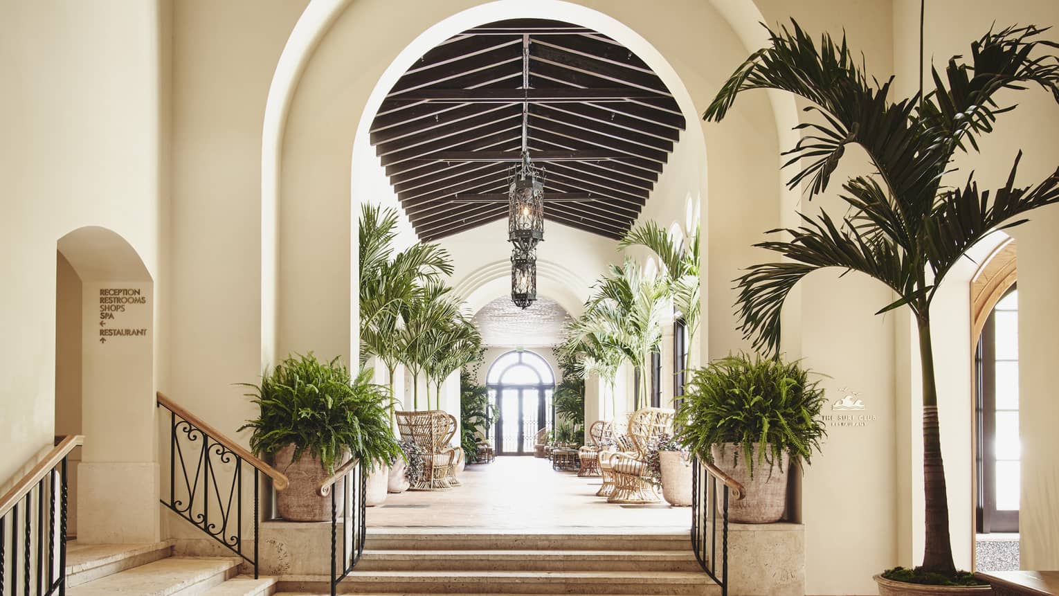 A white archway leading into a hallway with plants on both sides and large lamps hanging from the ceiling.
