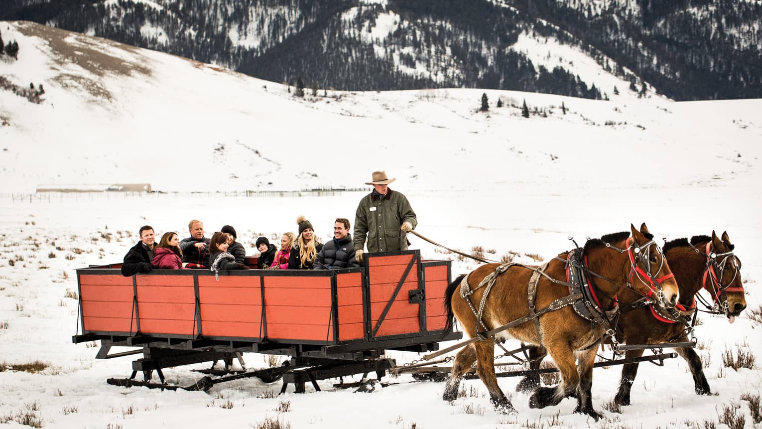 guests take a sleigh ride in the snow at Jackson Hole