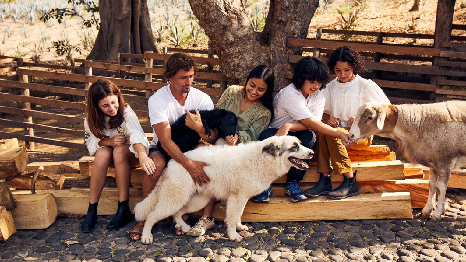 A group of four sits on rough timber; one adult holds a lamb and pets a large white dog, while a child feeds another sheep.