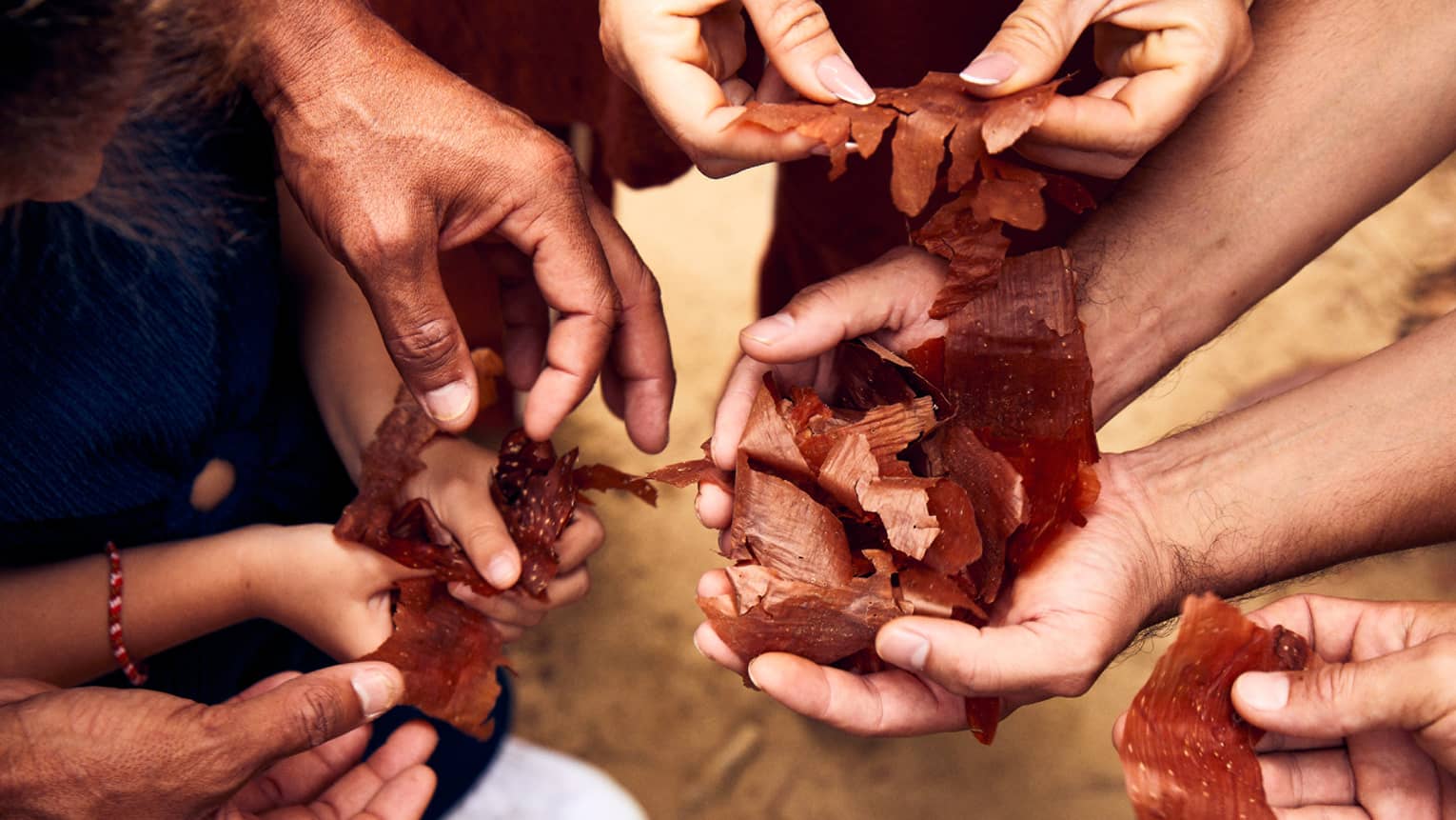 View from above as several child and adult hands come together to examine pieces of thin, reddish-brown bark.   