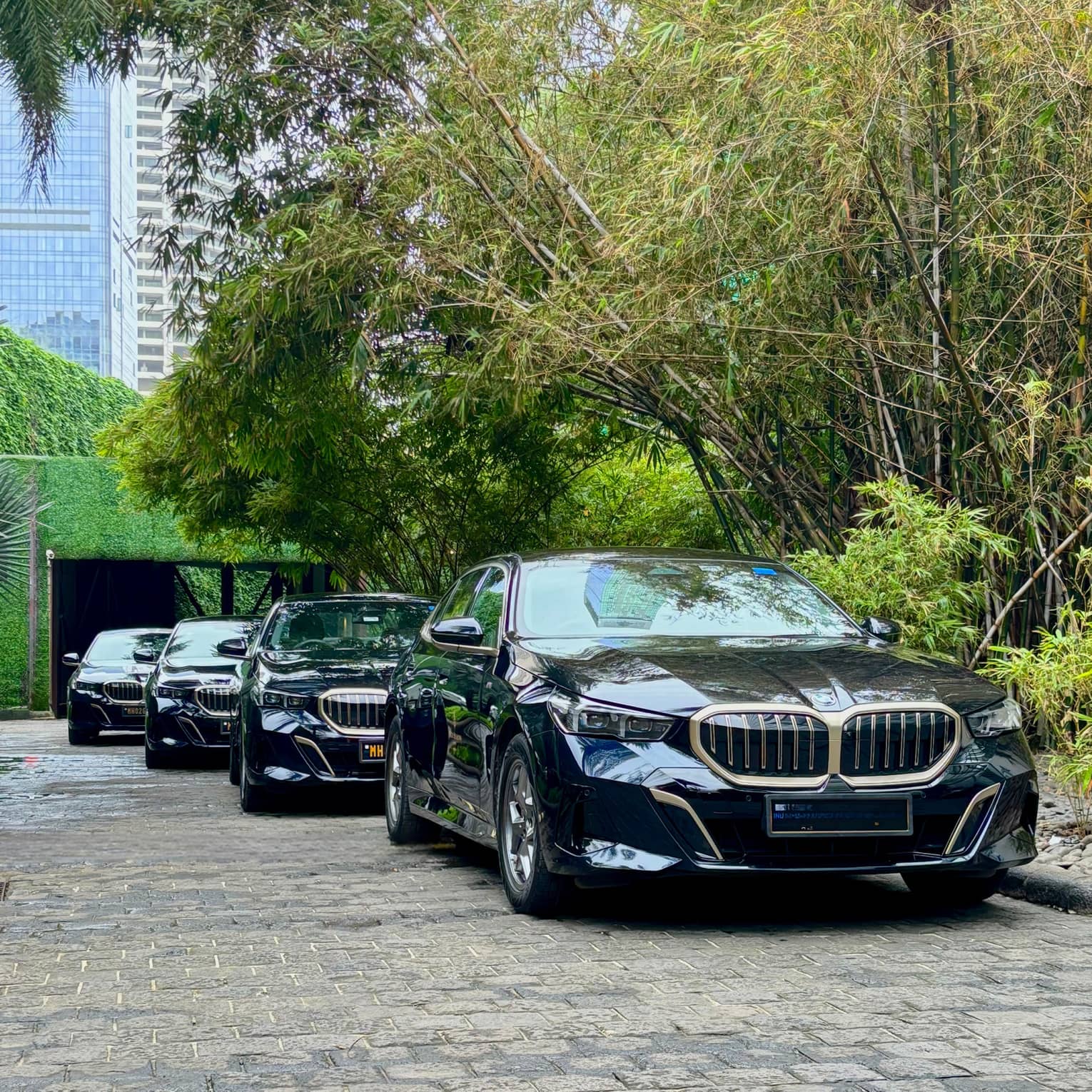 A line of luxury cars parked outdoors