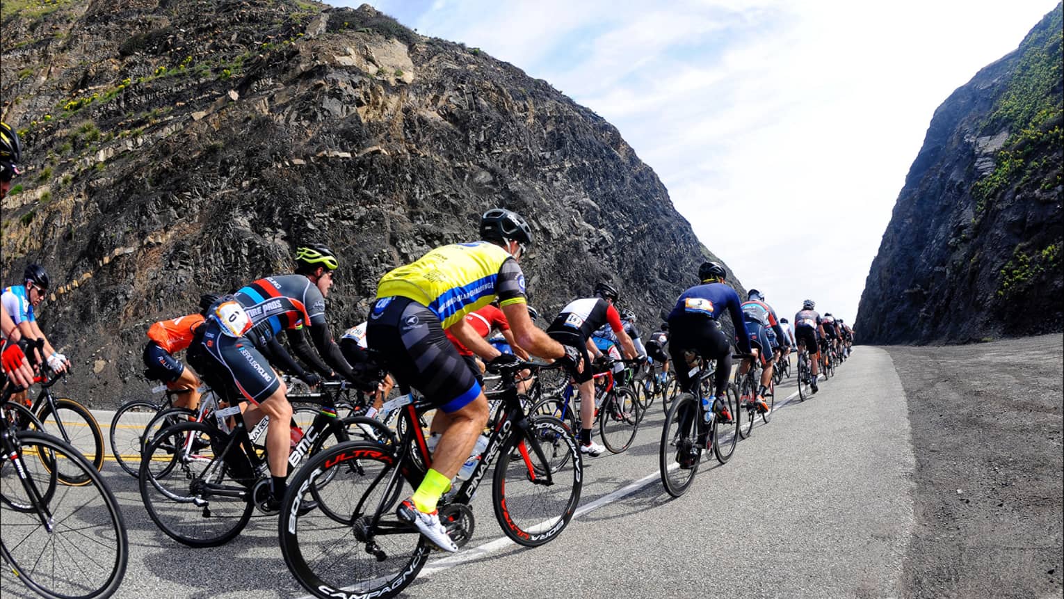 A large group of cyclists on a road going up a hill.