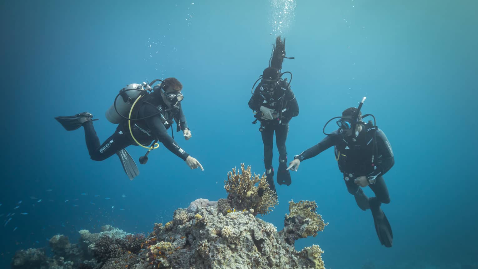 Front view of three scuba divers in clear, dark waters; two divers point at a group of yellow coral protruding from the rock.