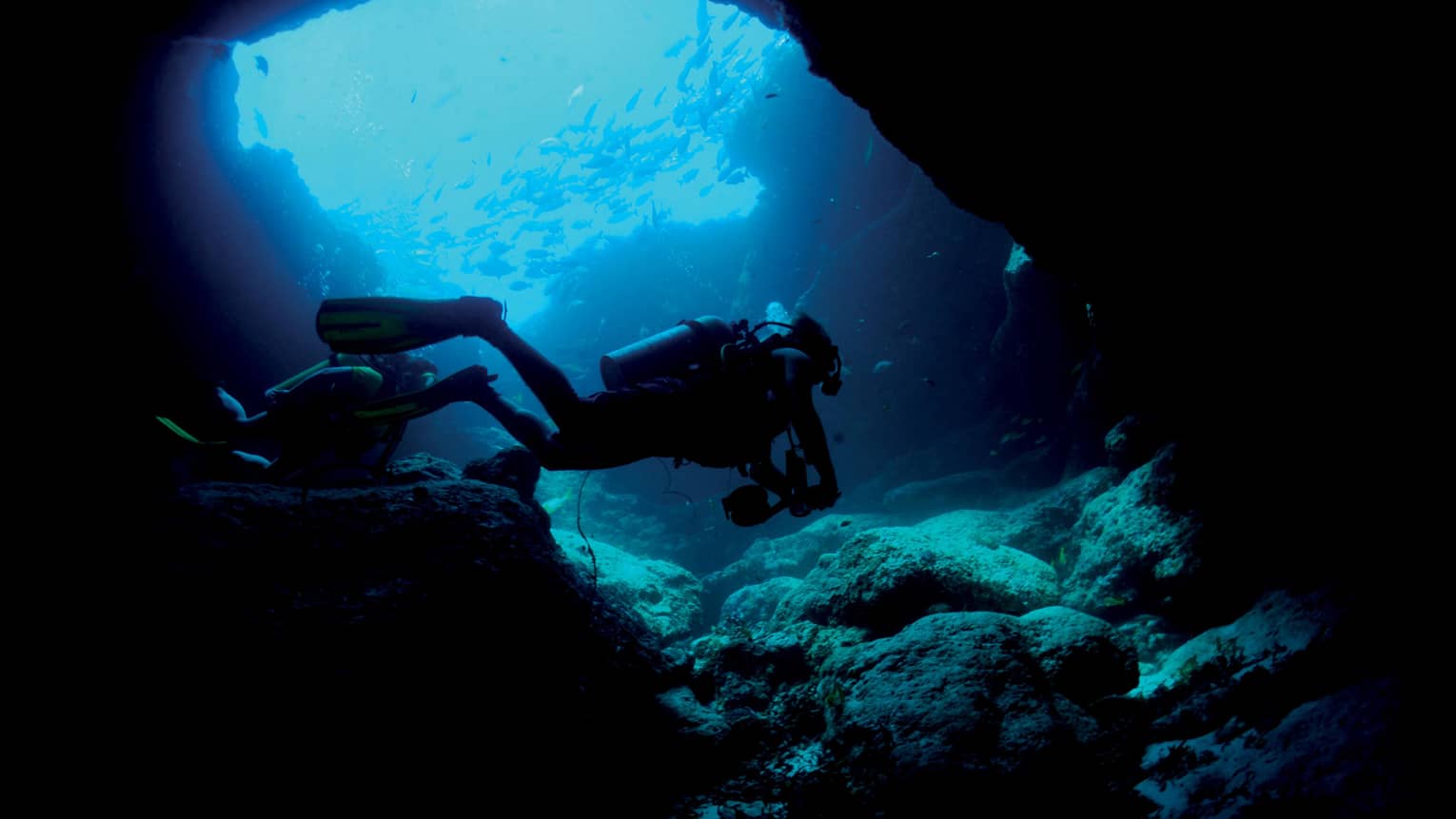 Scuba divers in the ocean. 