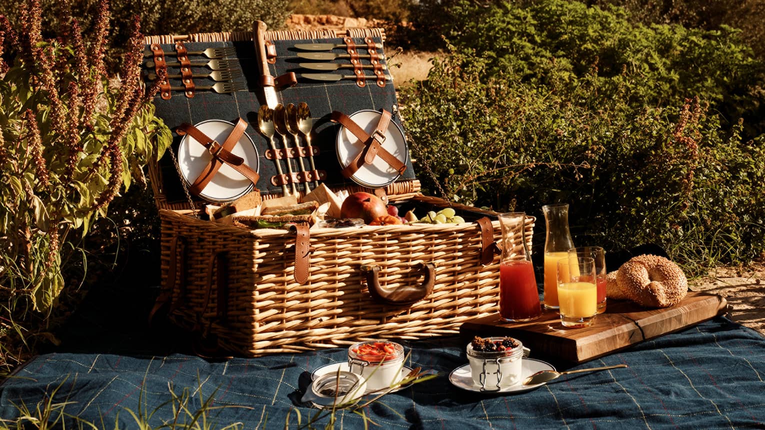 An open picnic basket filled with fresh fruit and bagels is laid out on a blanket in a lush outdoor setting under blue skies.