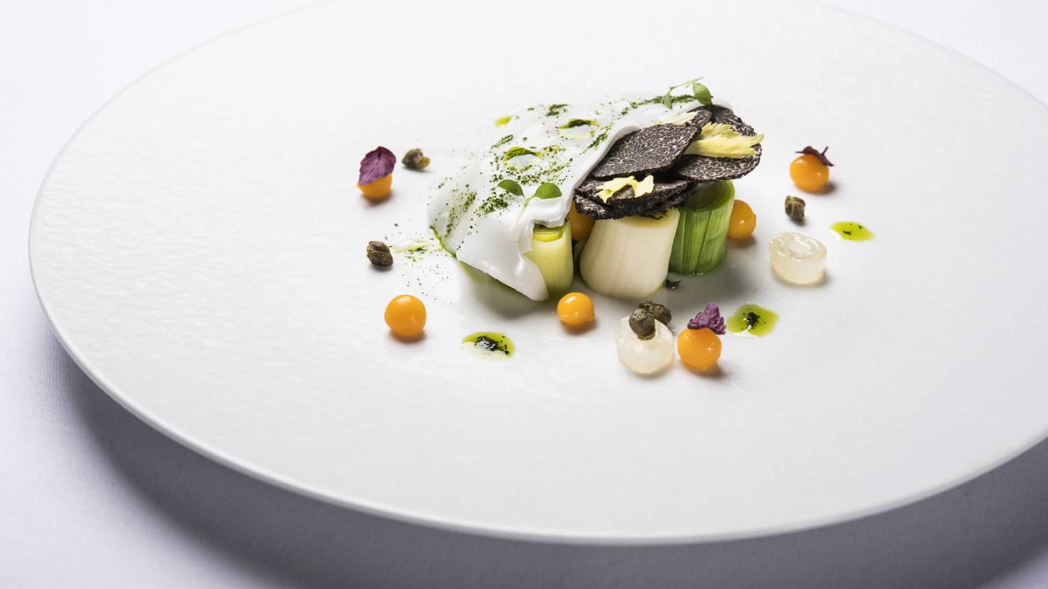 Artistic Michelin-Star entree arranged on white plate