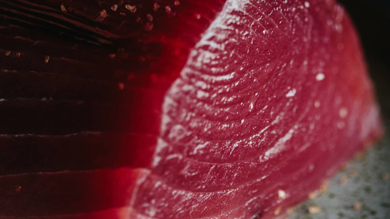 Fresh tuna fish