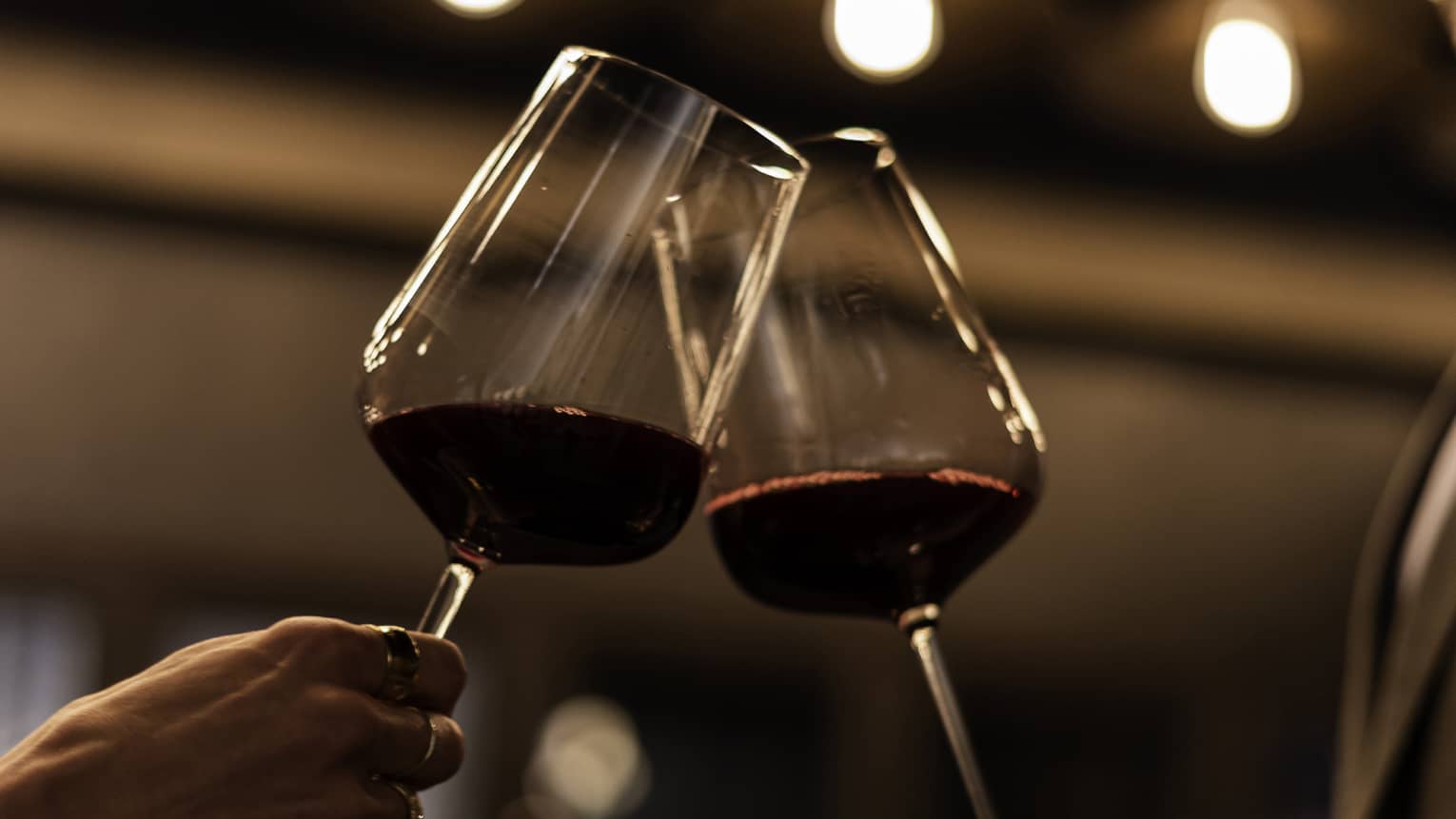Two guests holding wine glasses with lights in the background.