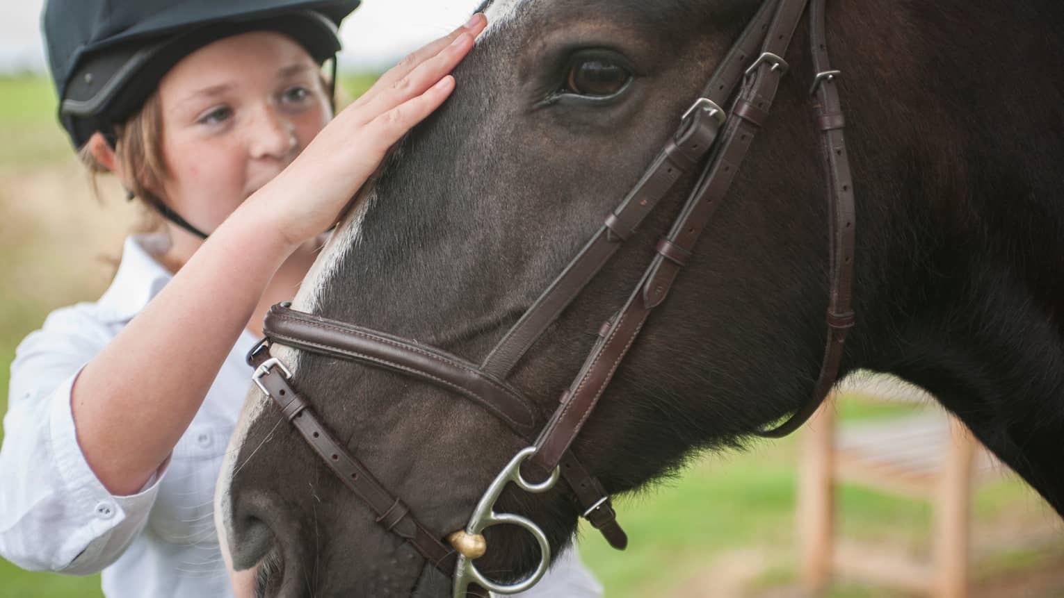 Close-up of child wearing equestrian helmet, petting horse