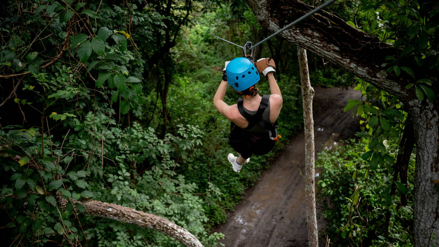 Aerial view of a person wearing a black sleevless shirt, black shorts, white sneakers and a bright blue helmet sliding through the trees on a zipline