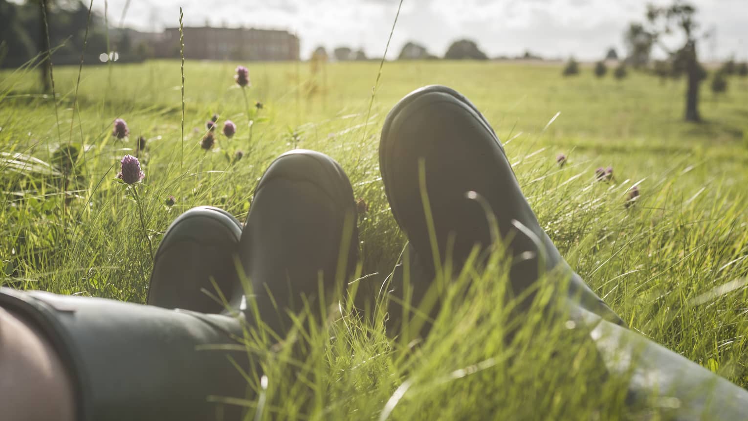 Close-up of people wearing rubber boots, relaxing in tall grass in English countryside