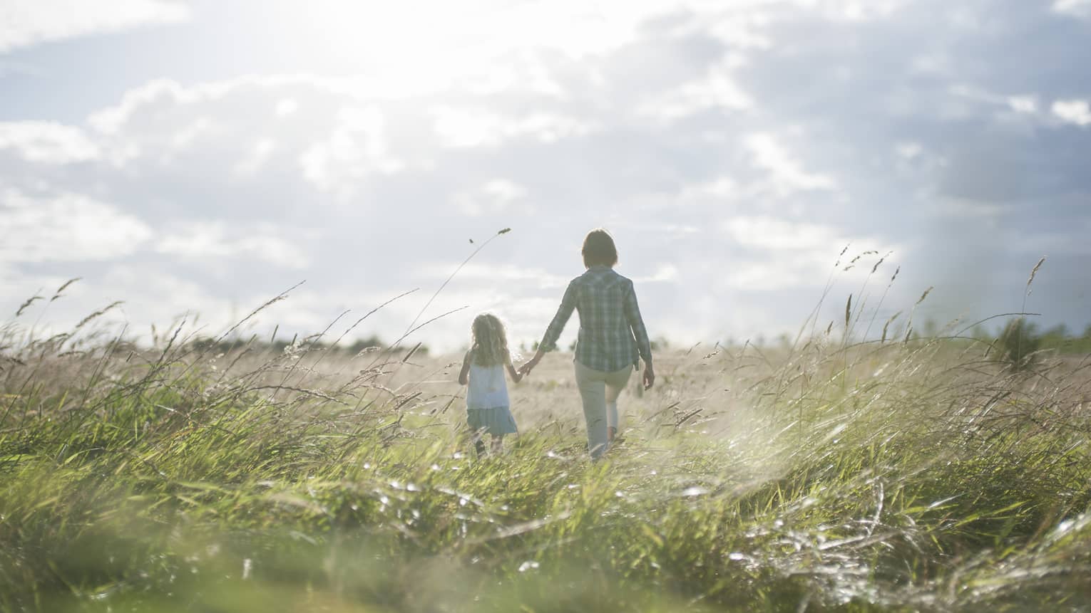 Back of mom, daughter holding hands, walking through tall grass in sunny field