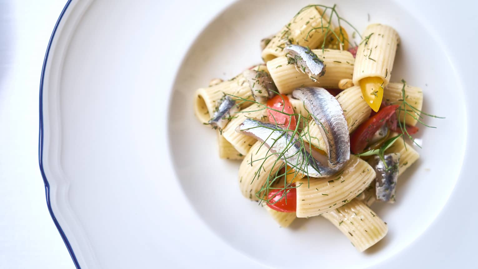 Rigatoni with anchovies plated on white shallow plate bowl