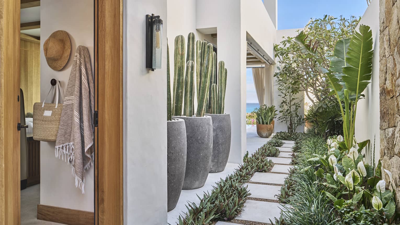 A garden in an oceanfront casita in Cabo Del Sol