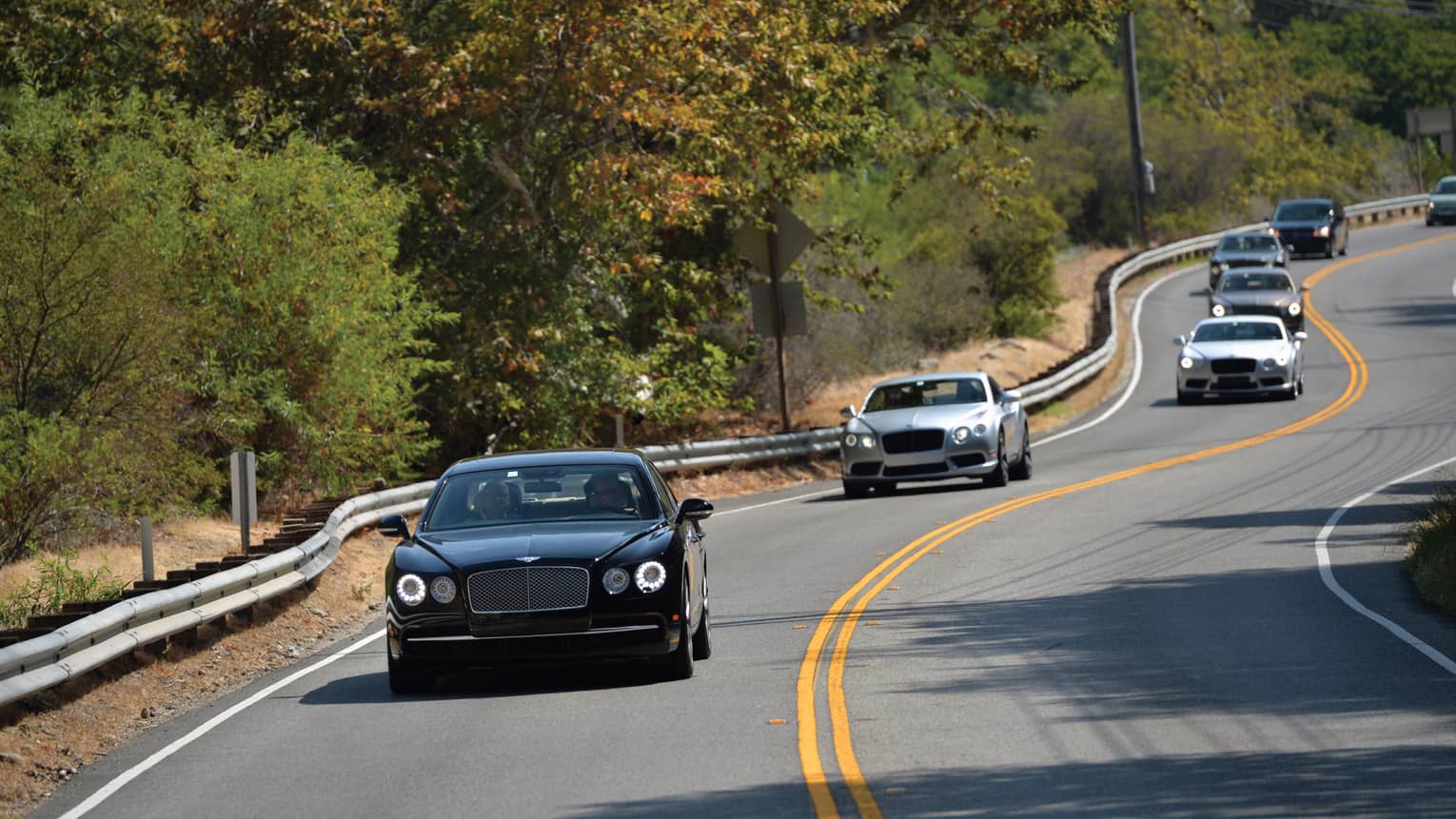 Bentley cars driving along winding road 