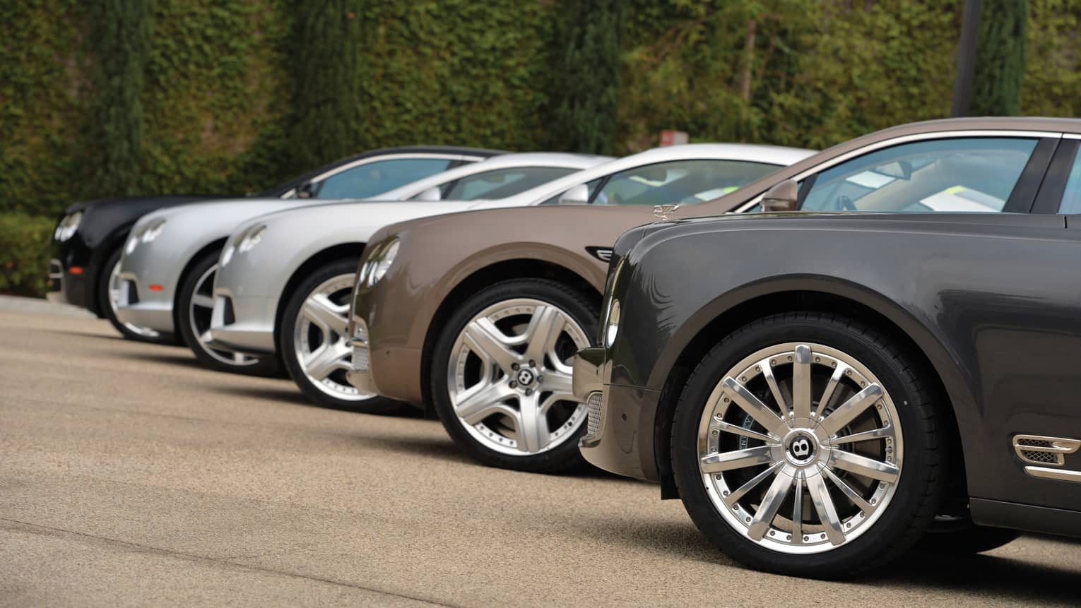 Side view of various luxury sedans lined up on front drive