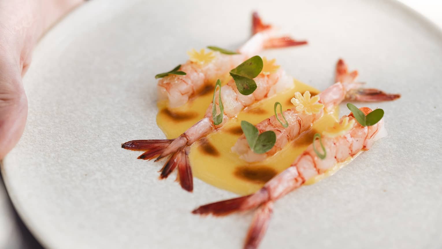 Four prawn in a pool of yellow sauce with green garnish on beige plate