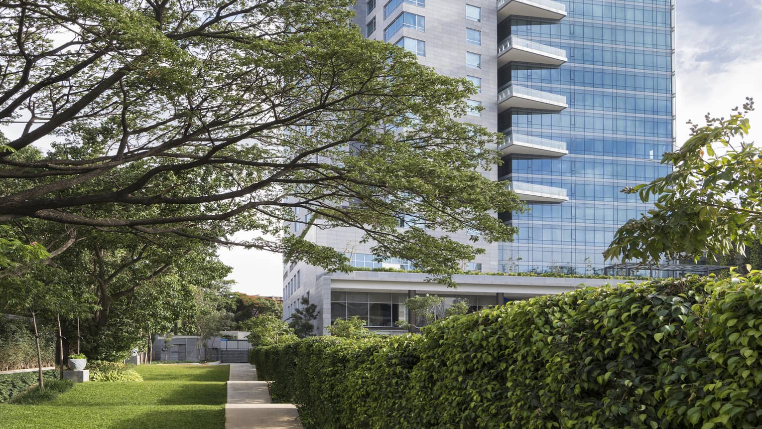 Tall glass building behind lawn with large tree, shrubs