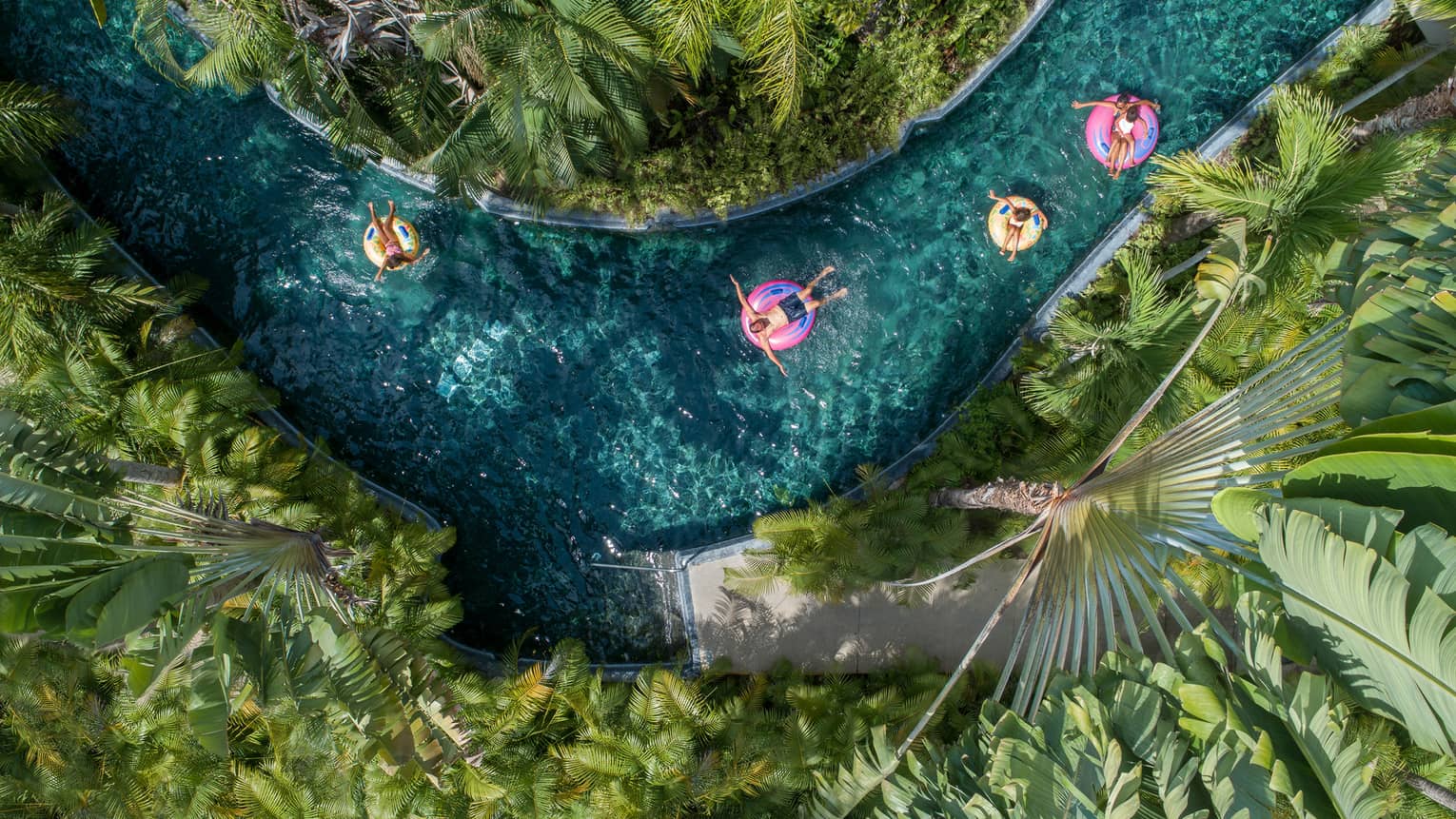 Four people floating on round tubes down a blue lazy river, plants and trees surround them on both sides of the river.