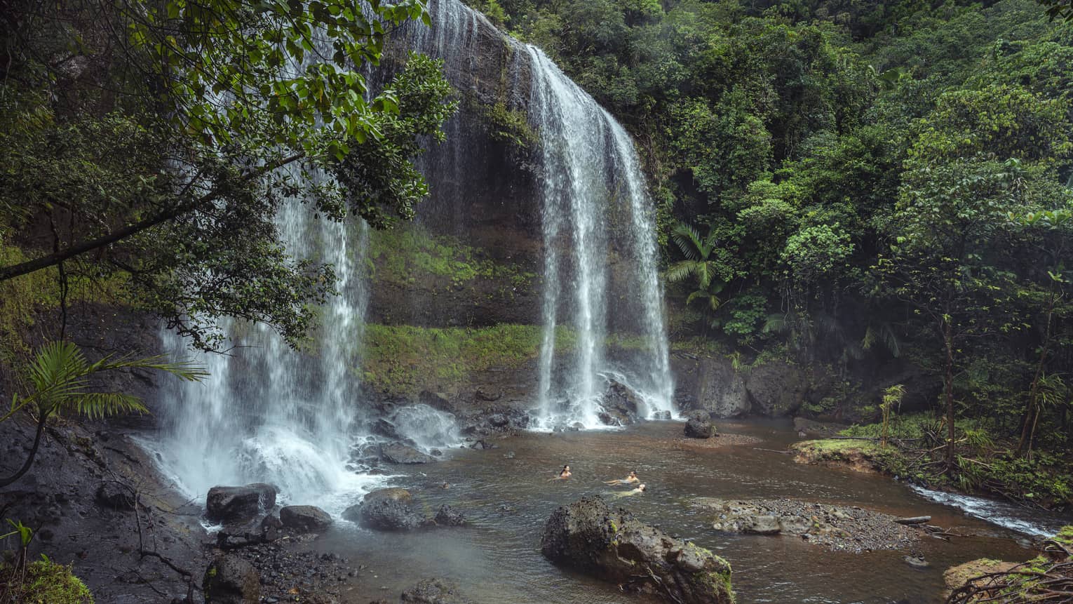 Water cascading over a mossy cliff encompassed by lush greenery; below the waterfall, three people relax in the plunge pool.