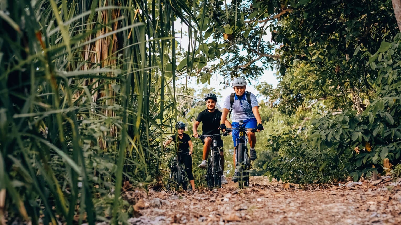 Three friends bike through the bamboo forest