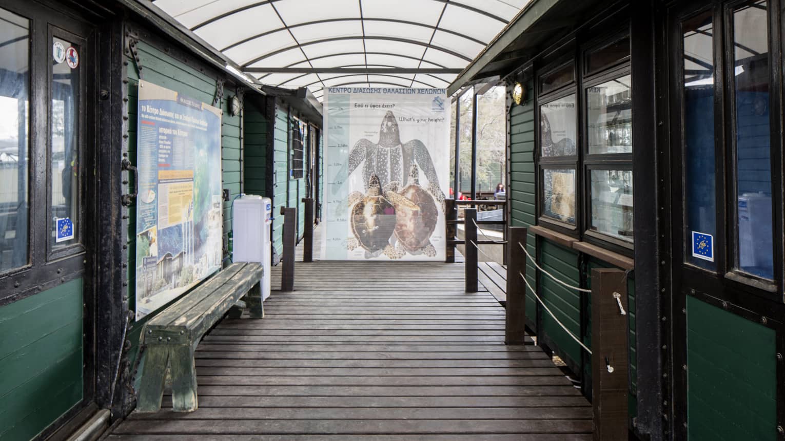 A chart of the length of sea turtles for guests to compare their heights with is placed in the center of a covered pathway.