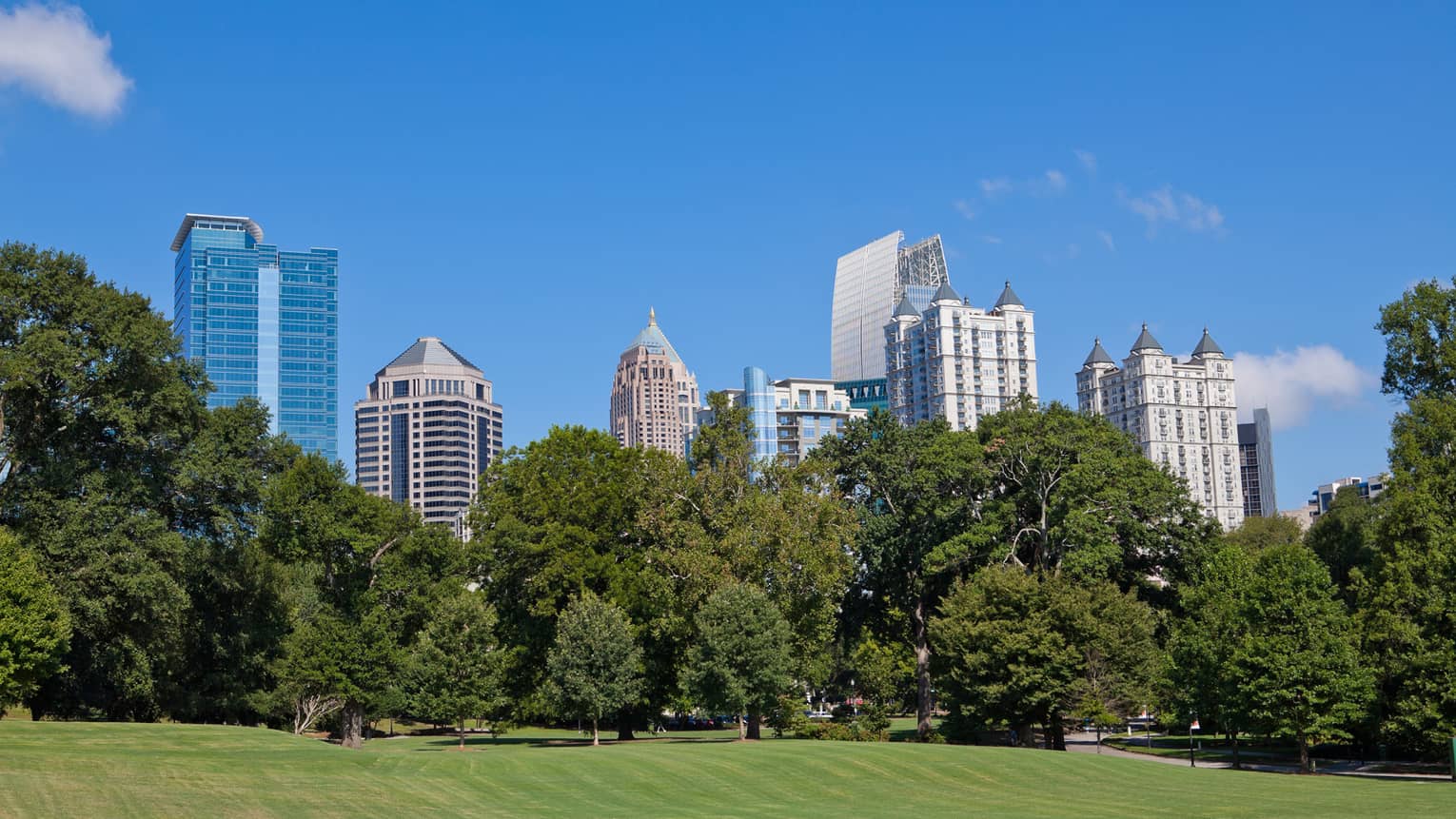 A park with large skyscrapers in the distance.