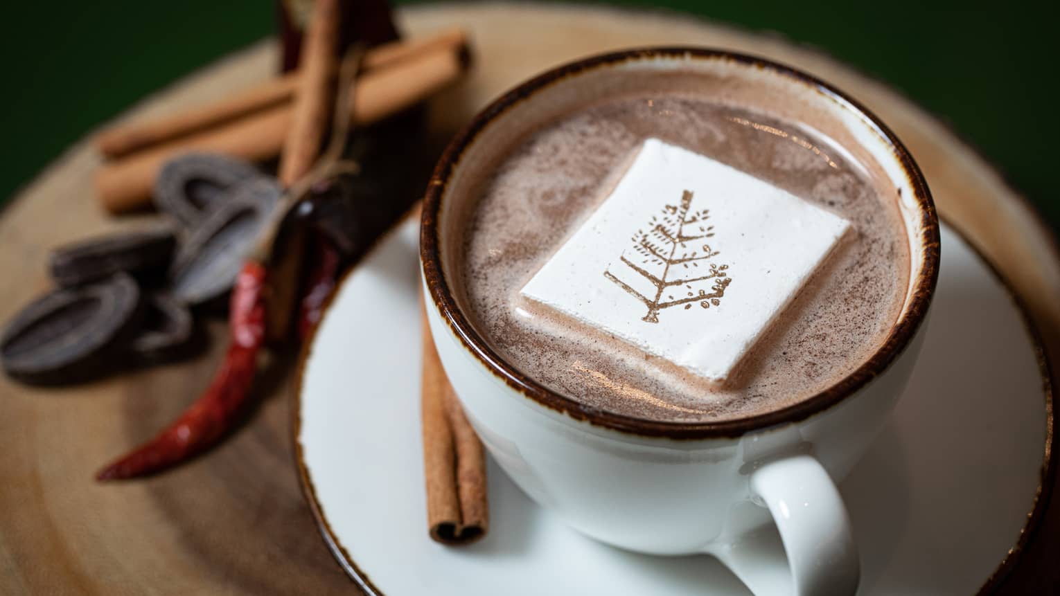 A closeup of a white cup of hot chocolate, a marshmallow with the four seasons logo in the middle of it, cinnamon sticks, dark chocolate chunks and a red chili garnished on the matching white saucer