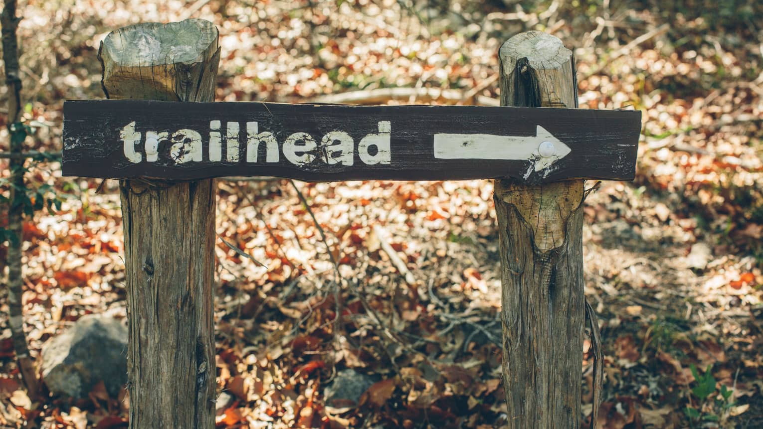 A wooden sign points in the direction of the trailhead at the Wild Basin Preserve 