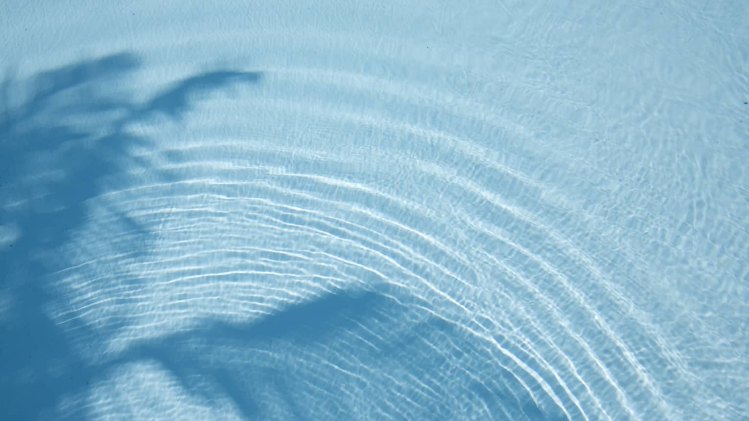 Shadow of palm leaves in blue swimming pool water