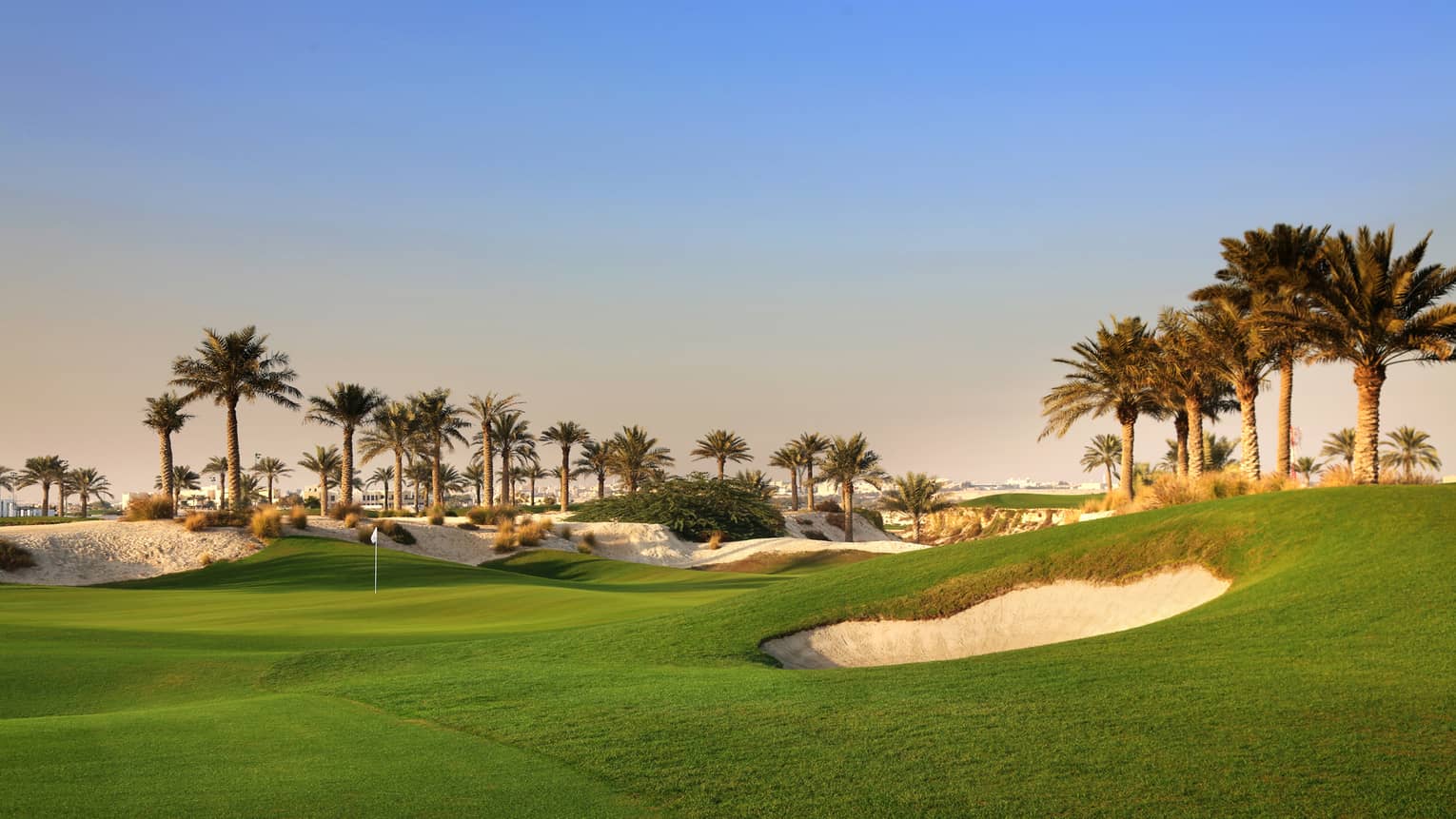 Sand traps on green golf course with palm trees