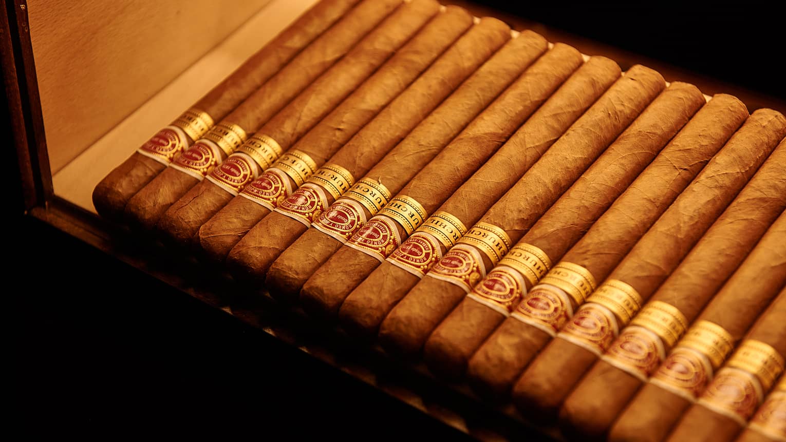 A long row of cigars stacked side-by-side in an open wooden box.