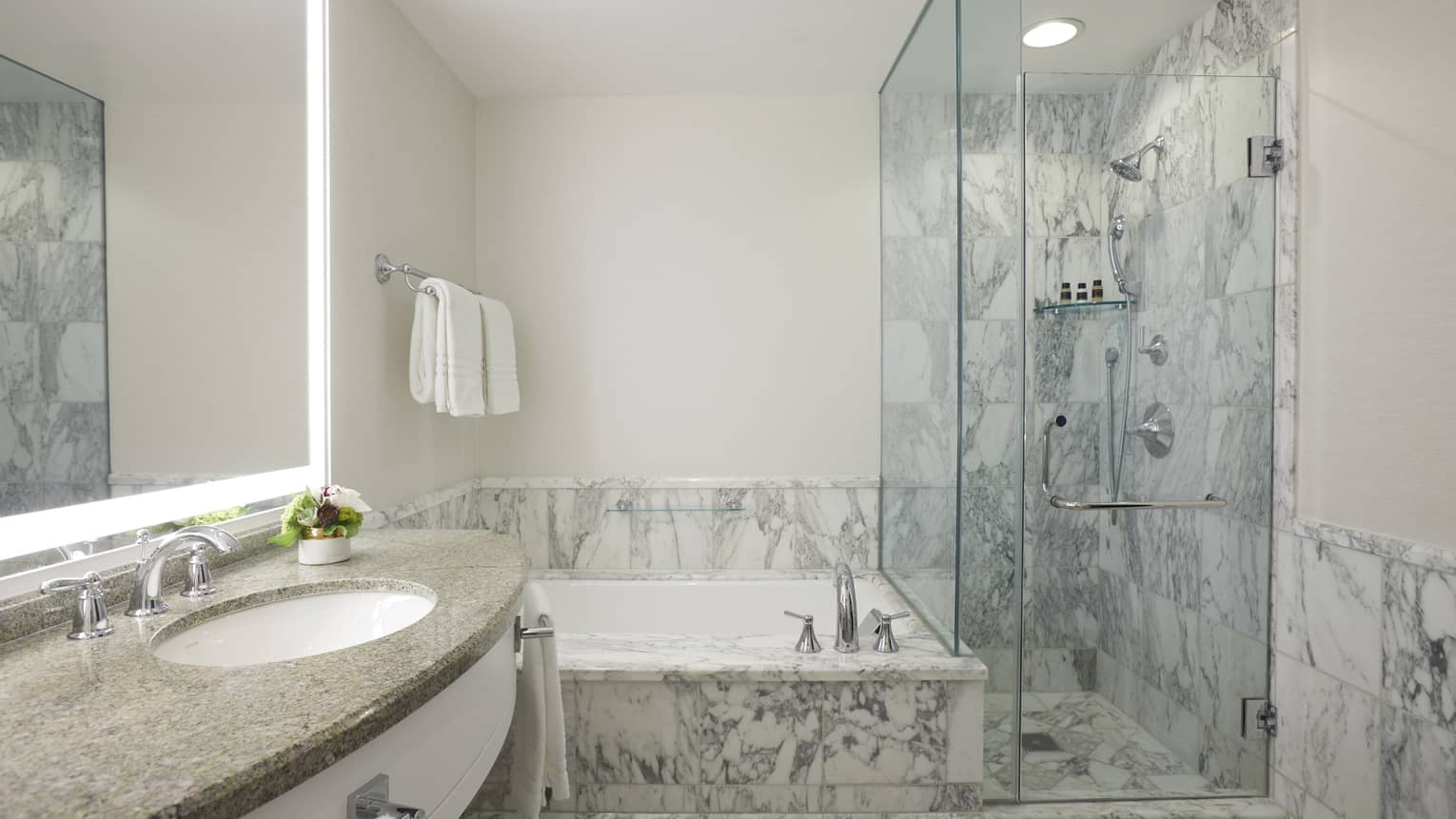 Marble bathroom with glass shower and separate tub