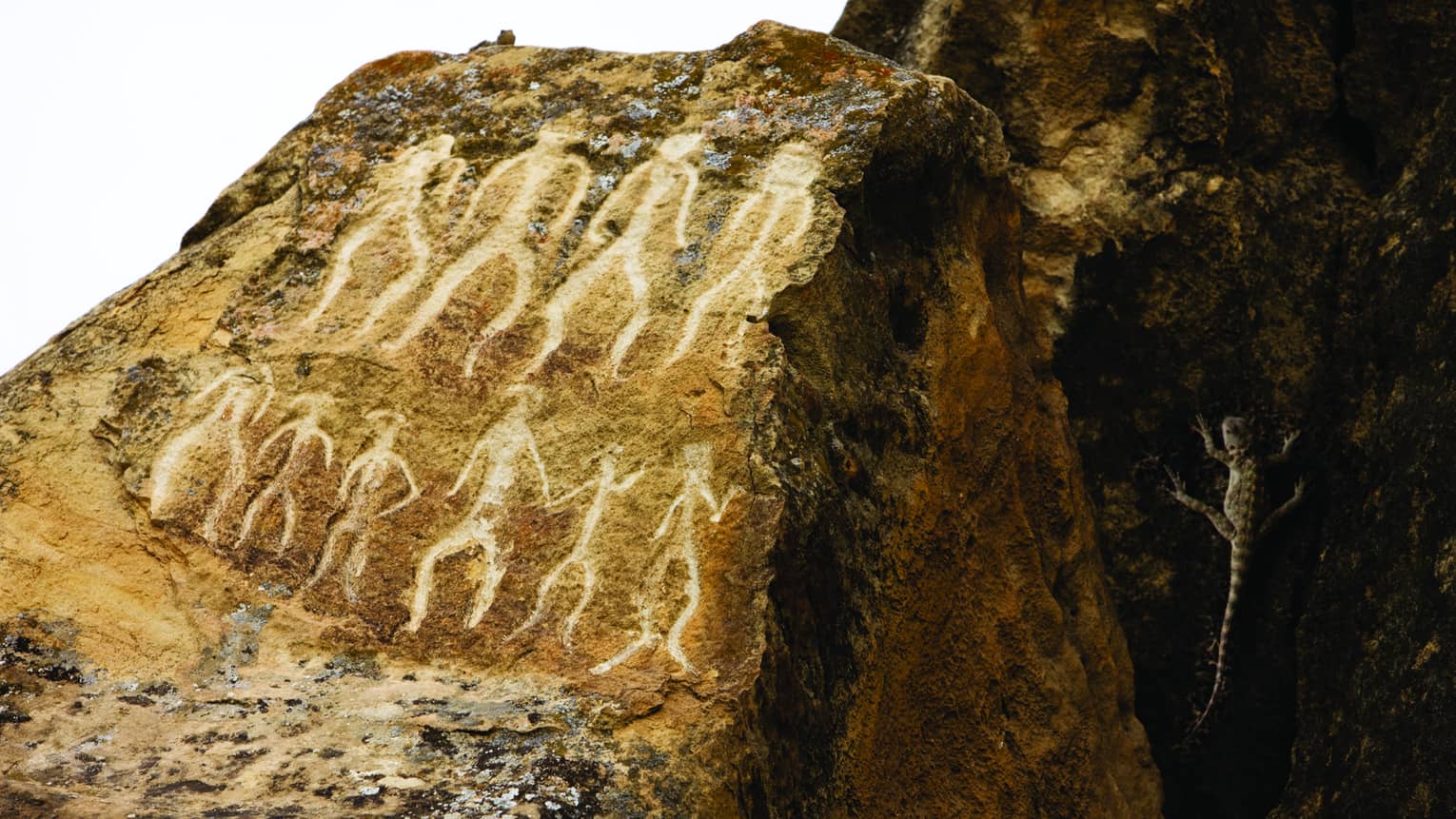 Clinging to the rock face, a small lizard scuttles by a group of ancient petroglyphs depicting mysterious rows of people.