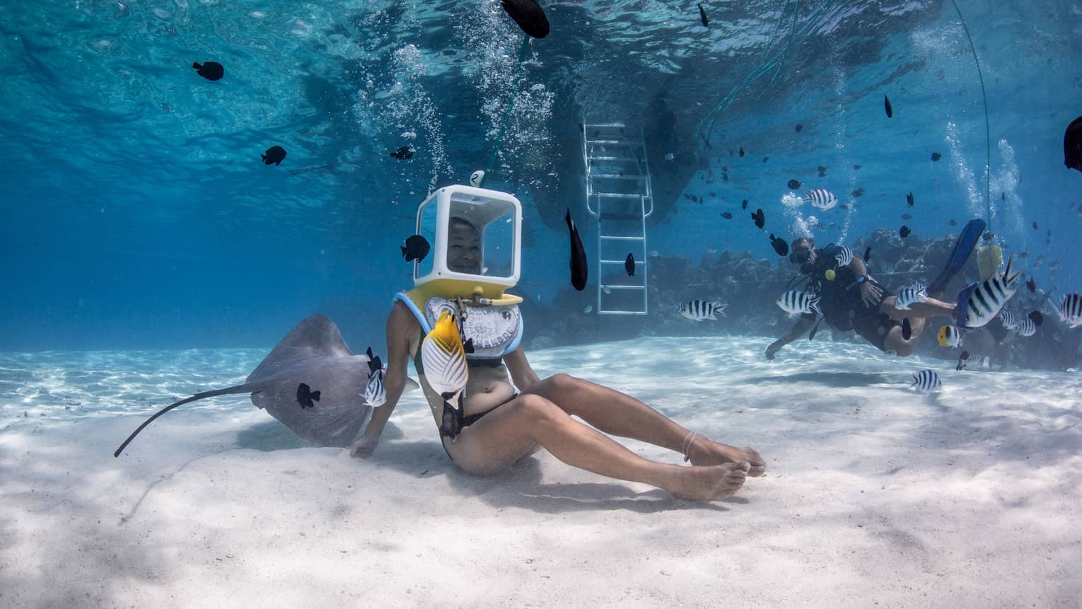 A diver sits on the ocean floor, their head encased in a glass helmet attached to a hose as rays and bright fish swim nearby.