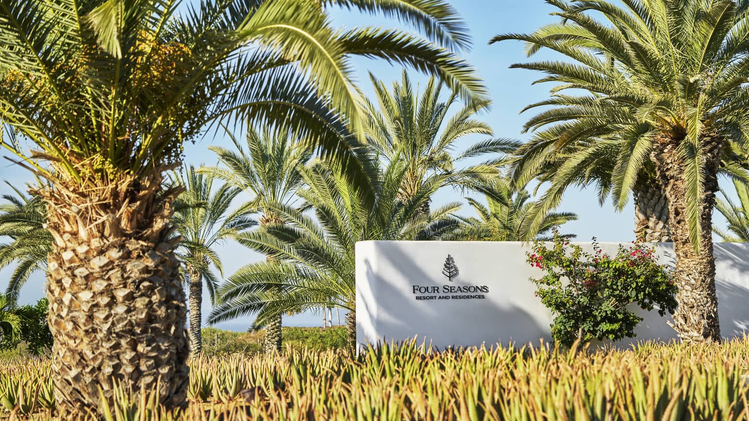 Four Seasons Cabo San Lucas