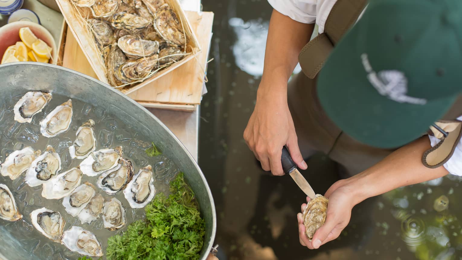 Aerial view of chef shucking oyster in front of steel tub with half shell oysters on ice