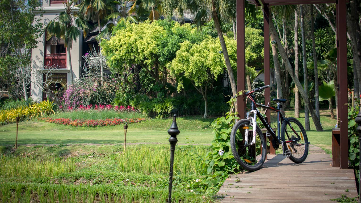 Bicycle leans against pergola on wood path under trees, by garden