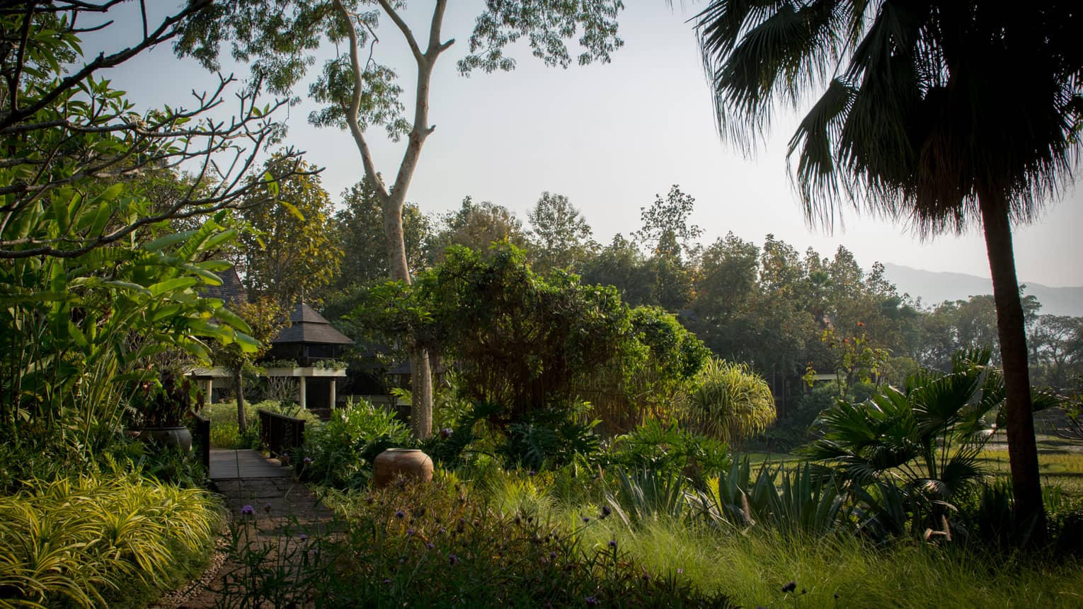 Building visible at end of pathway through tropical gardens, plantation, trees 