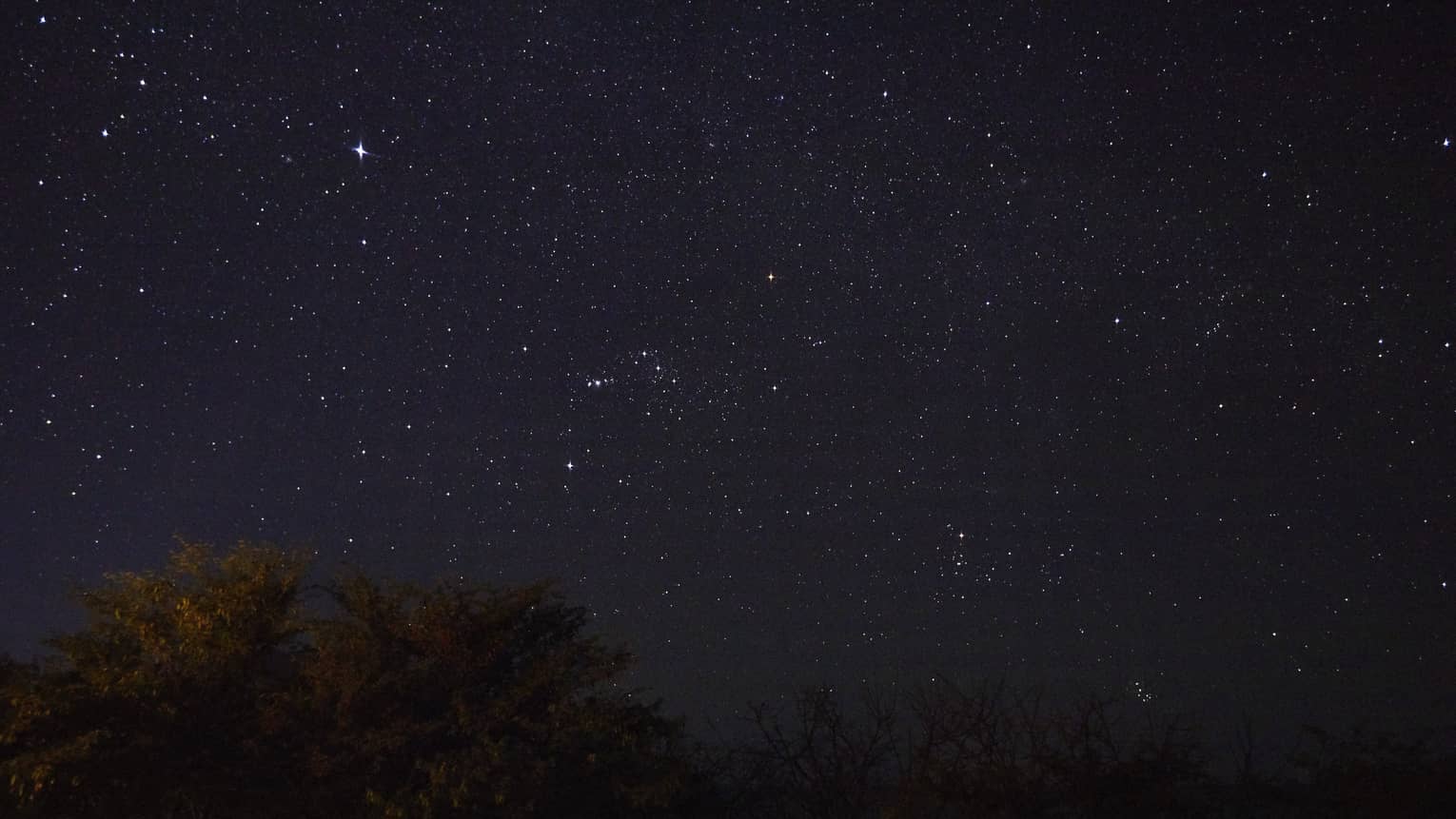 Starry night sky