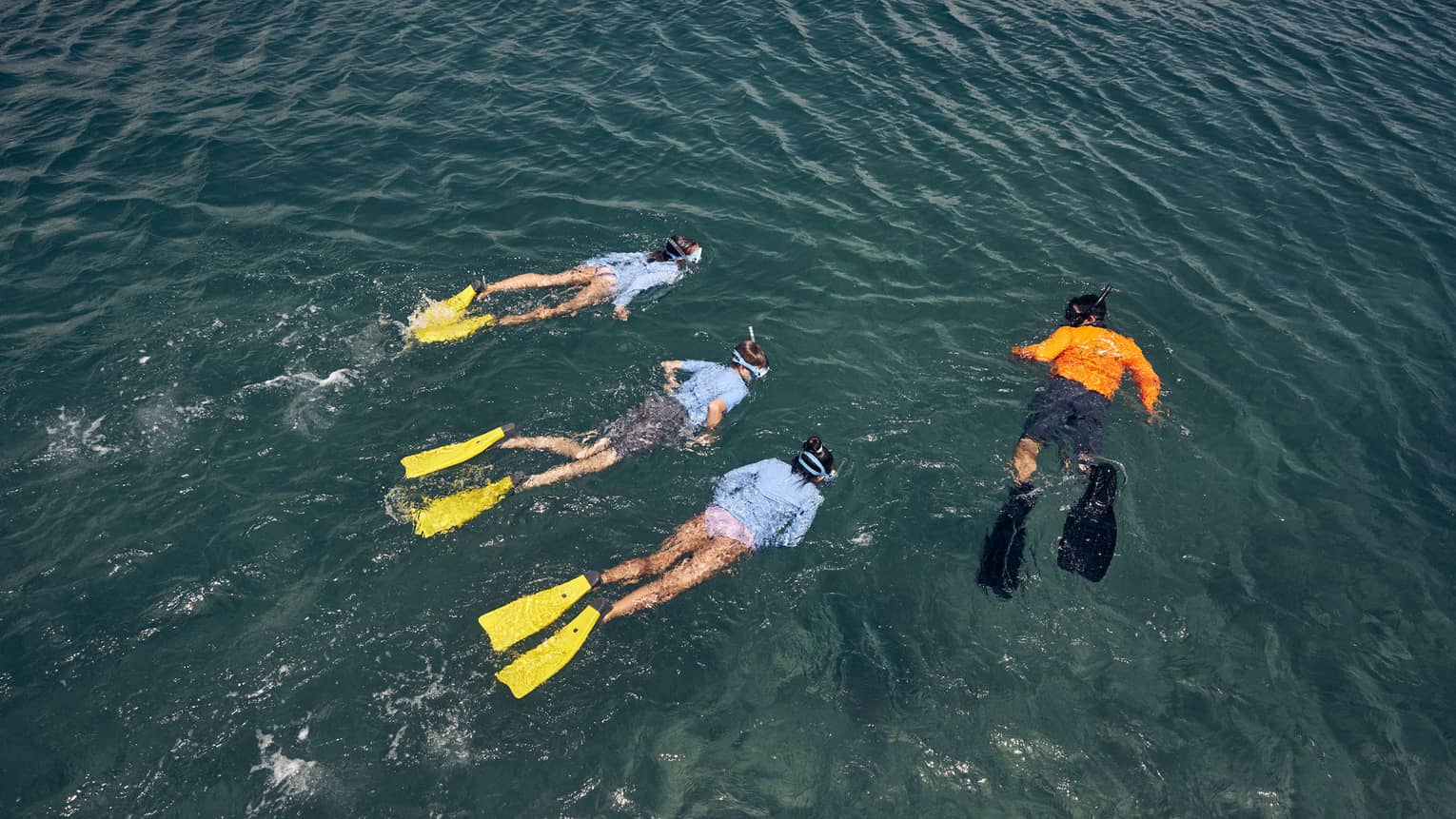 Overhead view of three people wearing light-blue swim shirts and yellow flippers swim next to an instructor wearing an orange swim shirt and black flippers