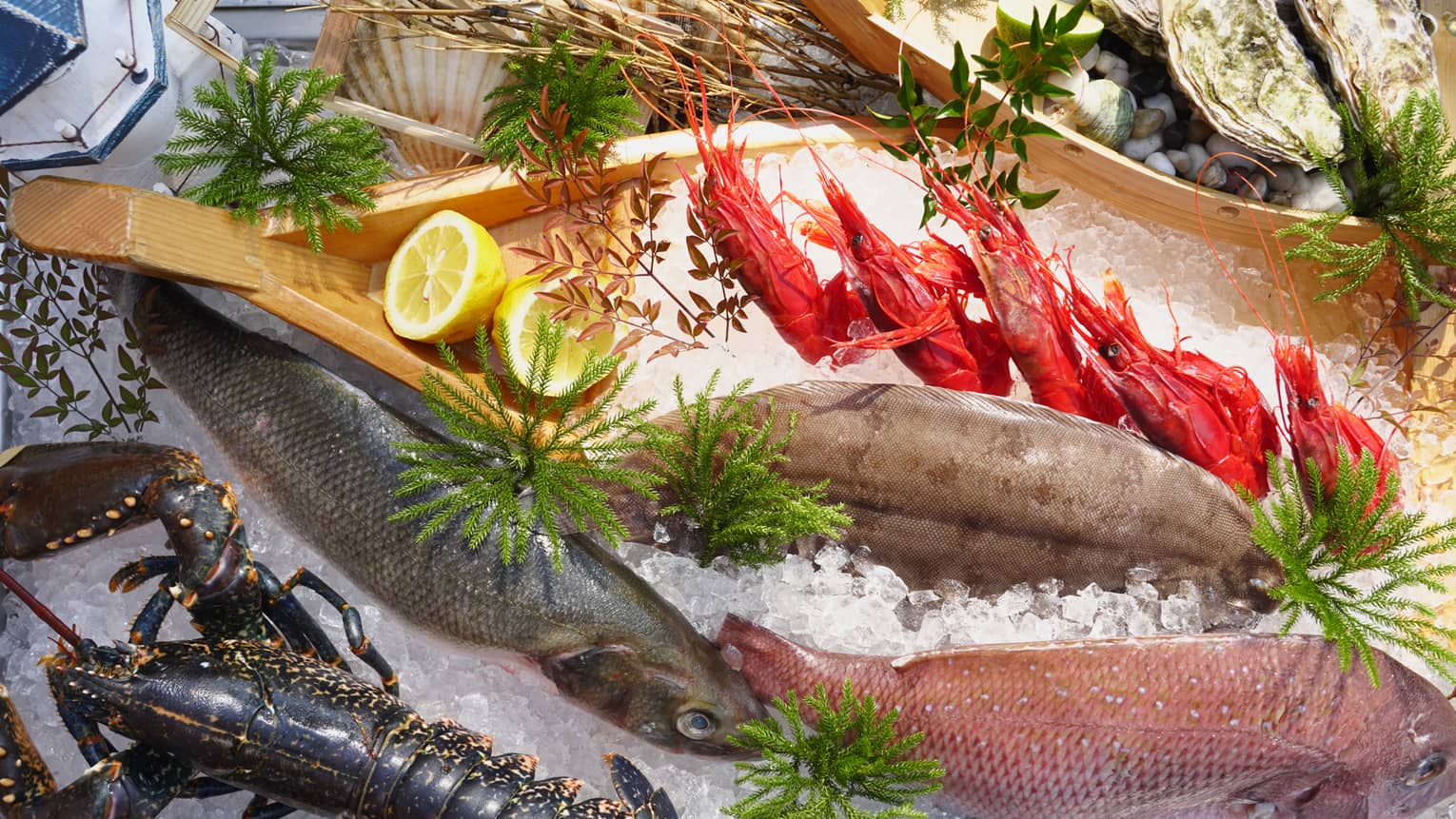 Several pieces of seafood in an ice tray surrounded by greenery.