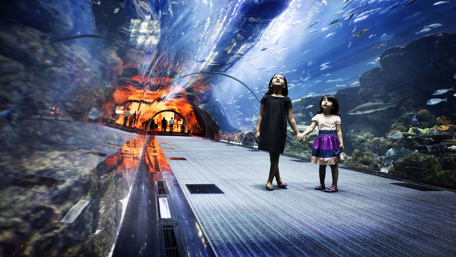 Two children hold hands in an underwater glass tunnel as they gaze at the schools of fish surrounding them in a sea of blue.