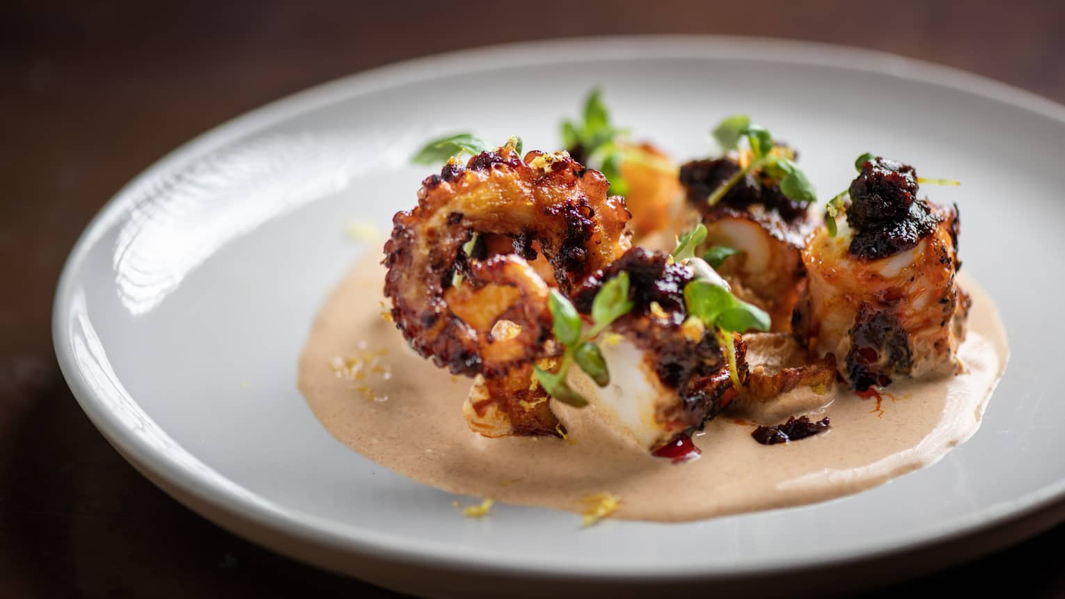 Grilled octopus garnished with greenery and sauce on a white round plate